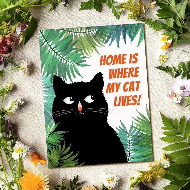 Carte Postale Annonce de déménagement de chat noir (Créateur téléchargé)