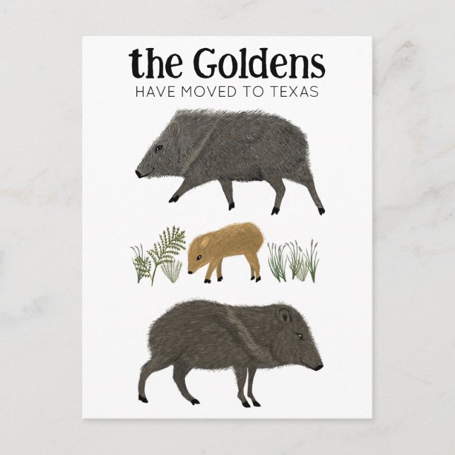 Carte Postale ANNONCE DE DÉMÉNAGEMENT Famille Javelina Désert Te (Devant)