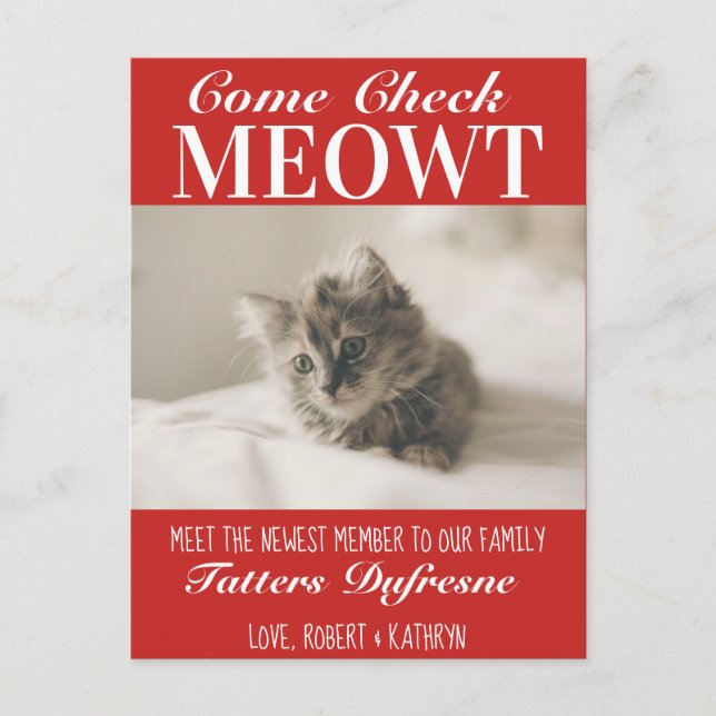 Carte Postale Annonce de nouveau chat "Check Meowt" (Devant)