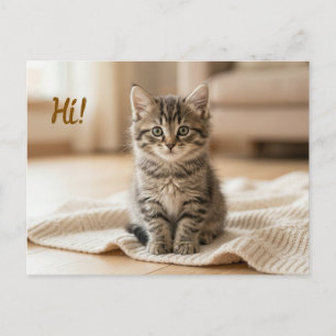 Carte Postale Annonce de photo de notre nouveau chaton