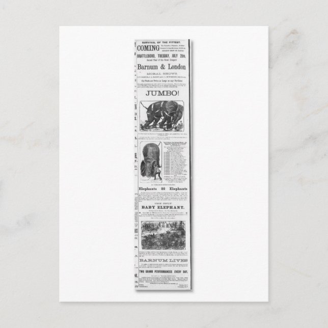 Carte Postale Annonce de spectacles moraux Barnum & London (Devant)