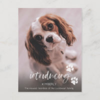 Annonce d'un nouveau chiot, Adoption d'un chien ad