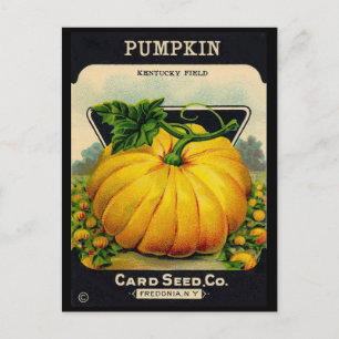 Carte Postale Annonce vintage de graines de pompage