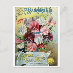 Carte Postale Annonce vintage de semences