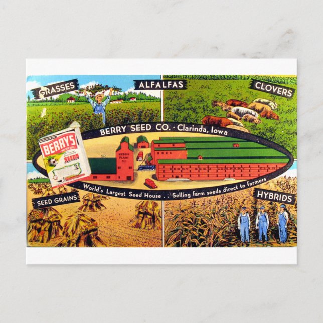 Carte Postale Annonce vintage de semences (Devant)