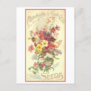 Carte Postale Annonce vintage Mandeville Semences Fleurs