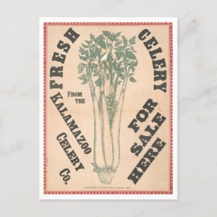 Carte Postale Annonce vintage pour Kalamazoo Celery Company