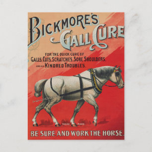 Carte Postale Annonce Vintage Pour Le Gall Cure De Bickmore Pour