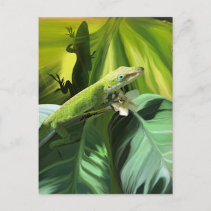 Carte Postale Anole Lizard