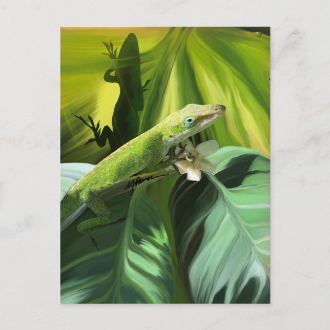 Carte Postale Anole Lizard (Devant)