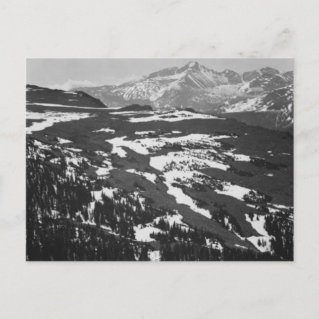 Carte Postale Ansel Adams (Devant)