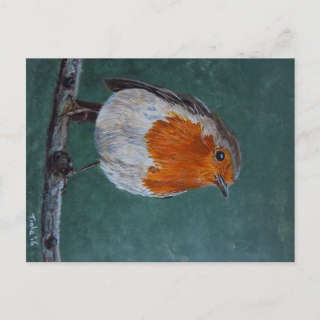 Carte Postale Ansichtkaart Roodborst. (Devant)