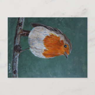 Carte Postale Ansichtkaart Roodborst. Briefkaart