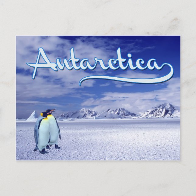 Carte Postale Antarctique (Devant)