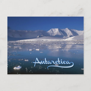Carte Postale Antarctique