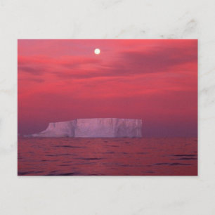 Carte Postale Antarctique