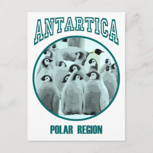 Carte Postale Antarctique