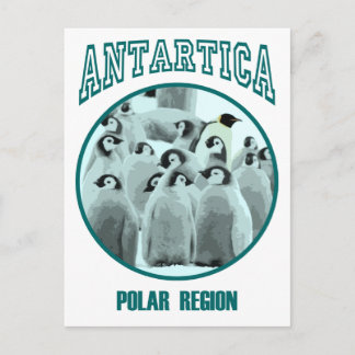 Carte Postale Antarctique