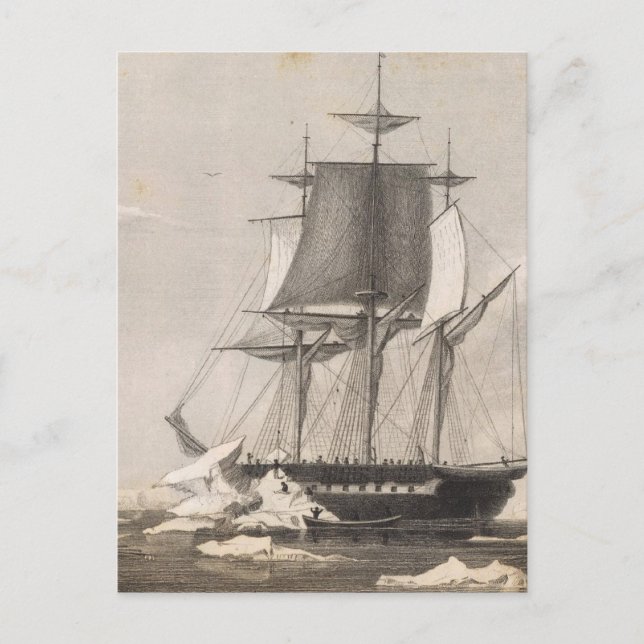 Carte Postale Antarctique 2 (Devant)