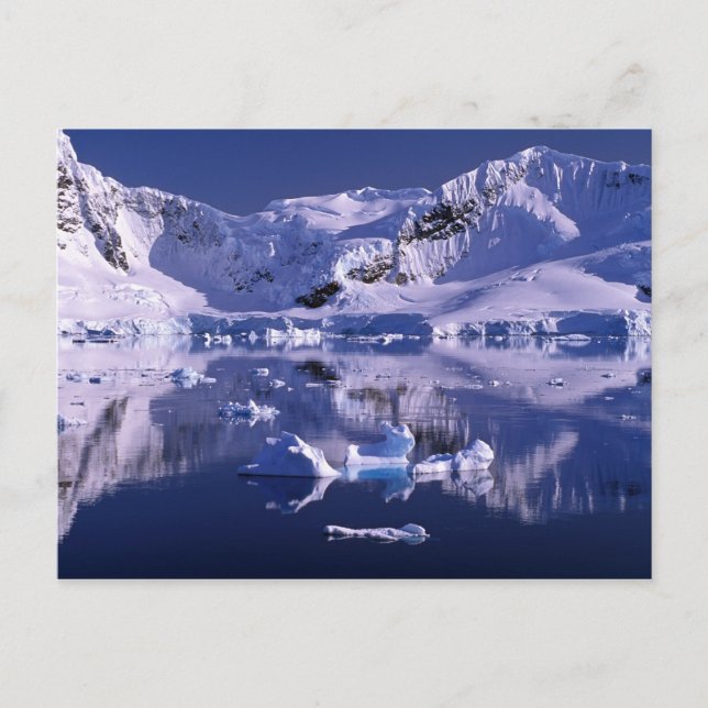 Carte Postale Antarctique, baie du Paradis (Devant)