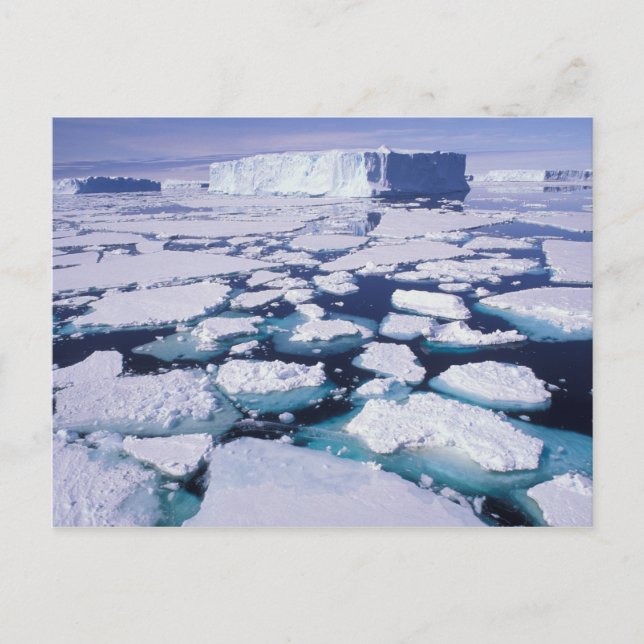 Carte Postale Antarctique, Écoulement de glace. (Devant)