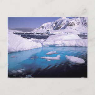 Carte Postale Antarctique. Expédition à travers les paysages de
