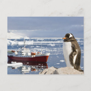 Carte Postale Antarctique, Neko Cove (Port). Pingouin Gentoo