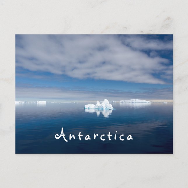 Carte Postale Antarctique paysage photo de glace flottante avec  (Devant)