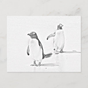 Carte postale Antarctique pour les pingouins color