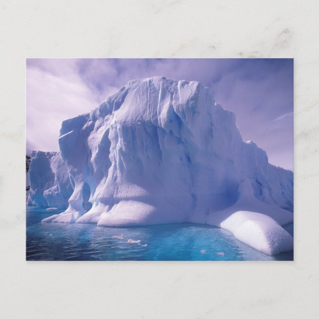 Carte Postale Antarctique. Sauvages de glace antarctique (Devant)