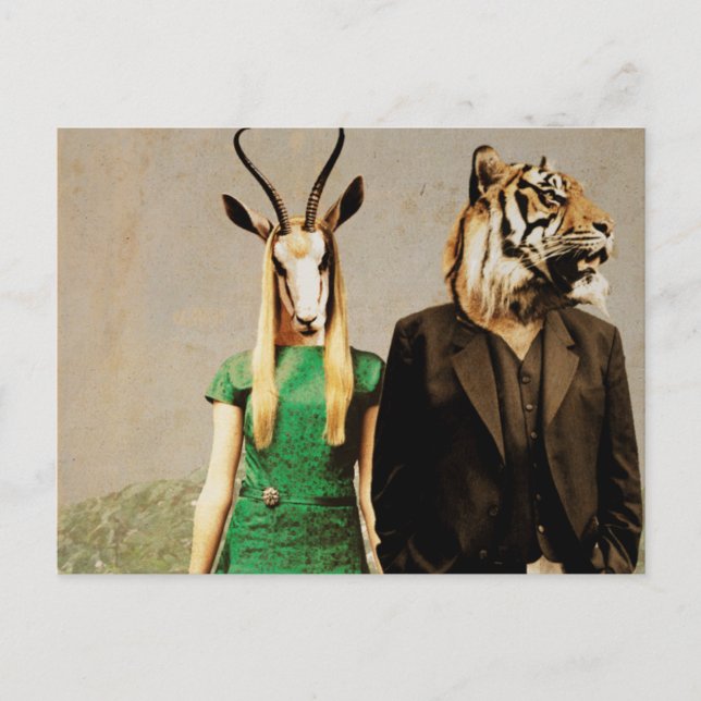 Carte Postale Antelope et le Tigre (Devant)