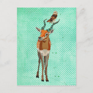 Carte postale ANTELOPE & OWL