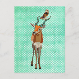 Carte postale ANTELOPE & OWL