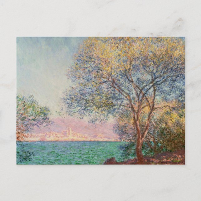 Carte Postale Antibes le matin (Devant)