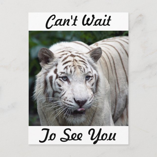 Carte Postale Anticipation (Devant)