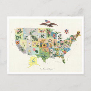 Carte Postale Antique 1911 USA State Flowers Map