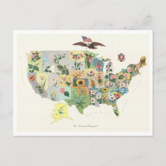 Carte Postale Antique 1911 USA State Flowers Map (Devant)