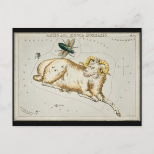 Carte Postale Antique Astronomie Graphique Astronomique Zodiac