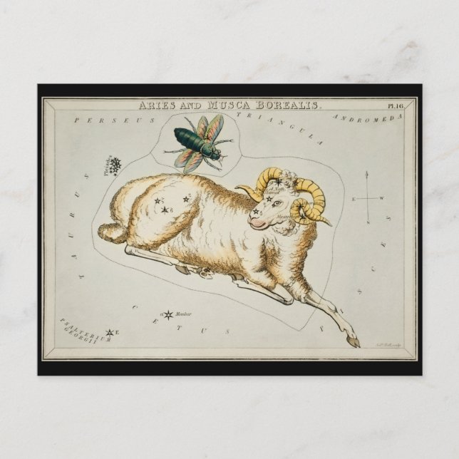 Carte Postale Antique Astronomie Graphique Astronomique Zodiac (Devant)