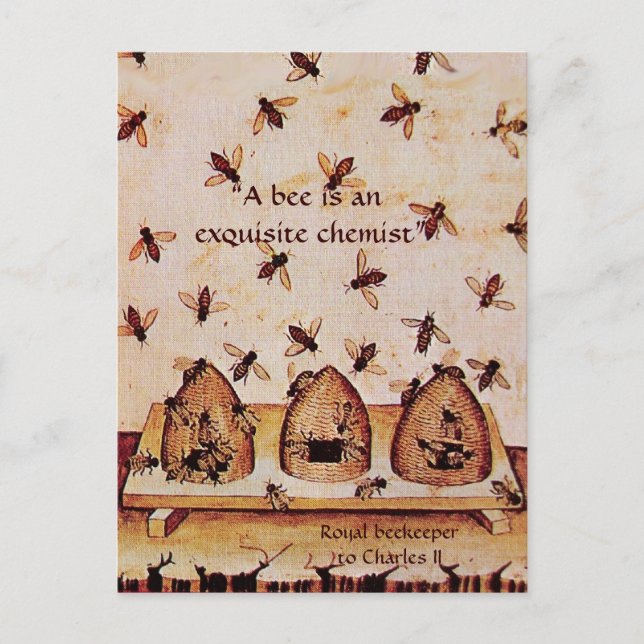 CARTE POSTALE ANTIQUE HONEY BEE BEEKEEPER, MAINTIEN DES OEUVRES (Devant)