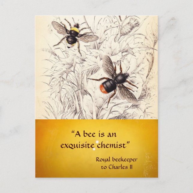CARTE POSTALE ANTIQUE HONEY BEE BEEKEEPER, MAINTIEN DES OEUVRES (Devant)