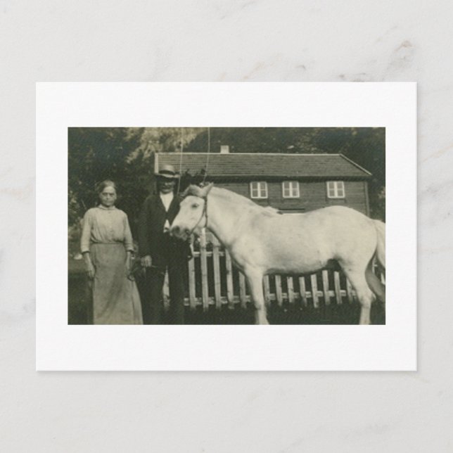 Carte Postale Antique Real Photo Agriculteurs norvégiens (Devant)