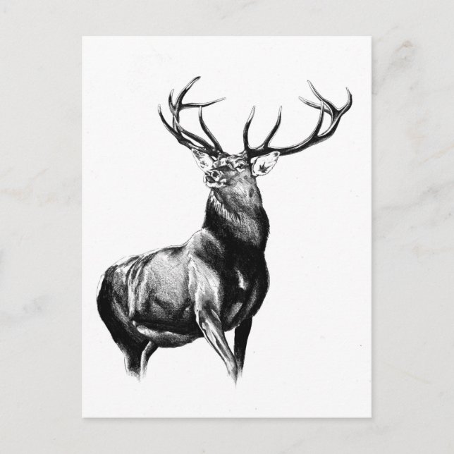 Carte Postale Antique start dessin artisanal nature (Devant)