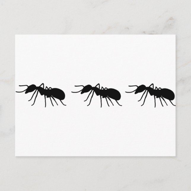 Carte Postale Ants (homonymie) (Devant)