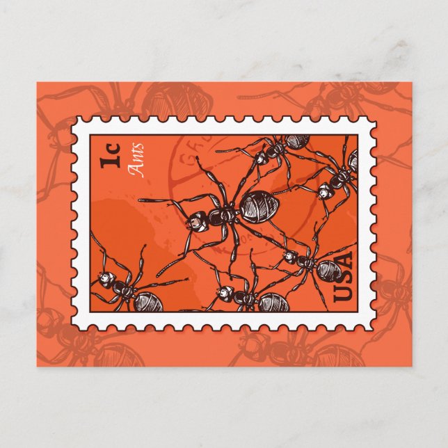 Carte Postale Ants (homonymie) (Devant)