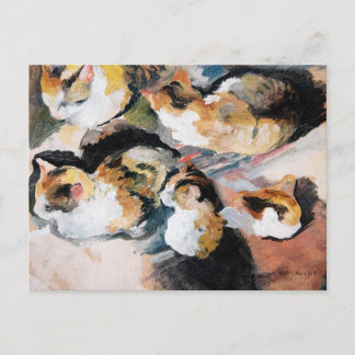 Carte Postale Août Macke's Katzenstudien (Étude d'un chat)