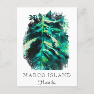 Carte Postale *~* AP25 Personnaliser le voyage Tropical Palm Lea