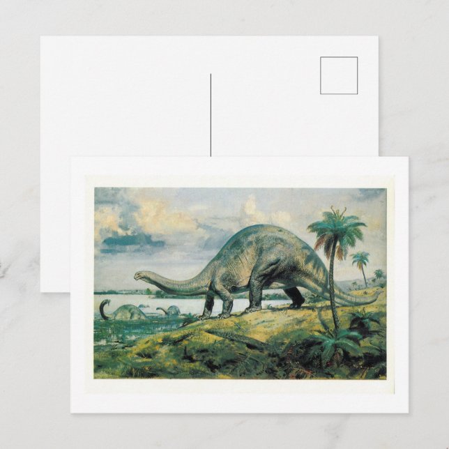 Carte Postale Apatosaurus Excelsus (Brontosaure) (Devant / Derrière)