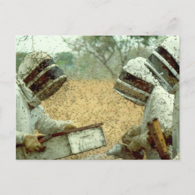 Carte Postale Apiculteurs (Devant)