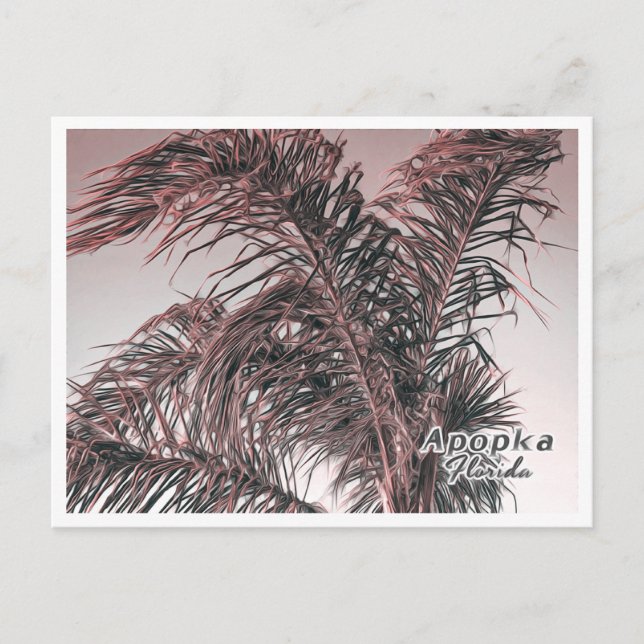 CARTE POSTALE APOPKA FLORIDA (Devant)